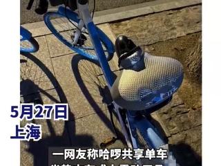 上海警方通报“共享单车坐垫内现情趣用品”：刘某某已被抓获