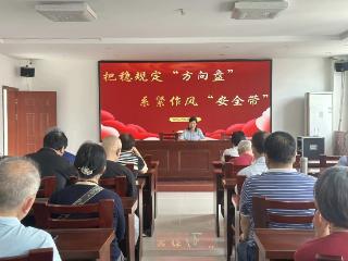 清风扬正气 廉韵润基层 启东市南城区街道5月主题党日活动