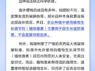 连体樱桃是打激素造成的？丨中新真探