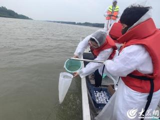 济宁、枣庄两市水文中心联合开展南四湖水生态监测工作
