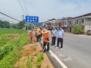 抚州市公路事业发展中心南丰分中心联合路政、乡镇开展清理路肩种菜整治行动