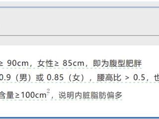 肚子上的肉越来越多了 但小心你的脑子可能越来越小了！
