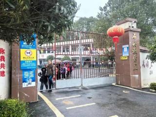 晨光中的守护者张华香与她的“石头花开”