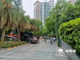 杭州多人目击：百斤重野猪闯进学校和小区！“跑飞快，随后自己游走了”