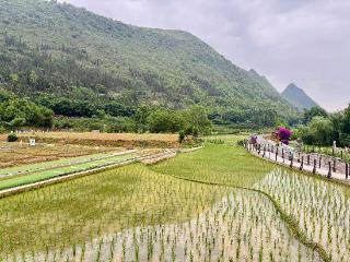 把夏天装进相册！兴义之夏，山水清凉的避暑之境