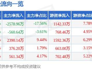 隆华新材（301149）5月28日主力资金净卖出2578.96万元