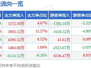 联合化学（301209）5月28日主力资金净买入1172.18万元