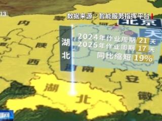 “三夏”AI智能体带您解锁丰收密码！
