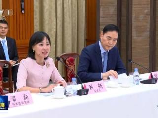 新希望刘畅参加印尼中资企业座谈会并发言