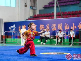 龙岩市青少年乒乓球、武术套路锦标赛顺利举办