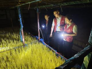 聚焦“三农”金融需求，人民银行莱芜分行引金融“活水”绽乡村振兴之花