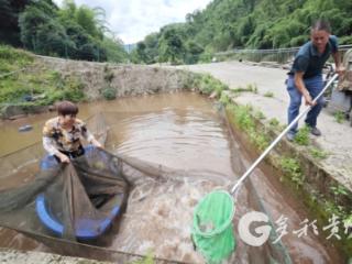 快看！赤水这里山涧活水跃金鳞