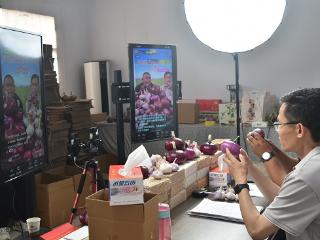 郯城县杨集镇：省派第一书记助农直播富乡邻