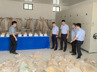 嘉祥农商银行“种子产业链条贷” 为助力乡村振兴发展“加足马力”