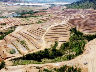 农发行山东省分行：4.3亿元政策性金融助力平邑农村产业提质升级