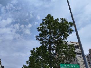最高气温31℃！@长春人明天出门注意