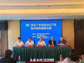 经济观察 | 贵州：为企业知识产权保护提供更多支撑