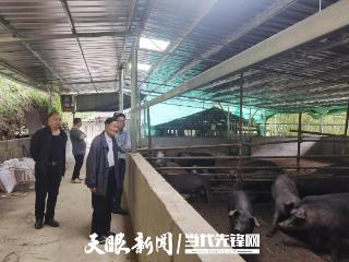 务川自治县浞水镇组织离退休干部考察特色养殖产业