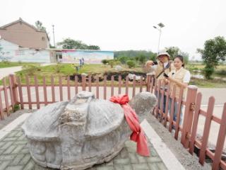 六合首次发现明代龟趺