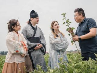穿汉服，割艾草……外国留学生在淄川区西河镇沉浸式体验传统文化