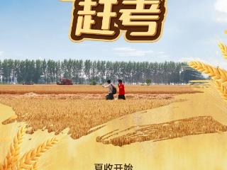 “三夏”赶考：潍柴的丰收答卷