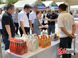 “大泽深成”区域公共品牌招商说明会在深泽举办