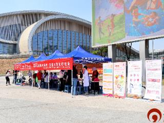 东港区卫生健康局：政策护航育新生 健康服务在身边