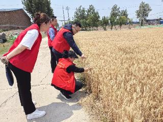 科技特派员走到地头，宣讲一根红线上的“饭碗田”政策