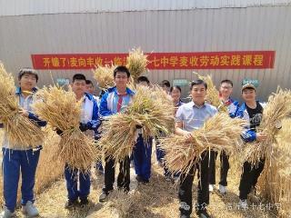 临沂第十七中学师生共赴麦田劳动实践课