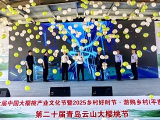 青岛平度：第二十届云山大樱桃节盛大启幕