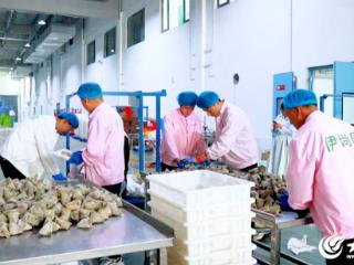 “镇”兴兰陵③：如何激活强镇富民密码？磨山“双引擎”给出生动答卷