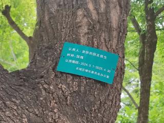 文化观察|“余华铁生”为何动人