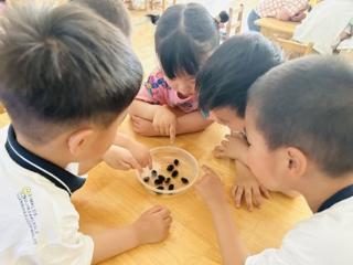 淄博市淄川区实验幼儿园：萌娃育莲 共赴自然之约