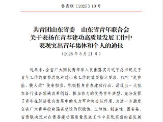 齐鲁文化大模型研发团队获评青春建功表现突出青年集体