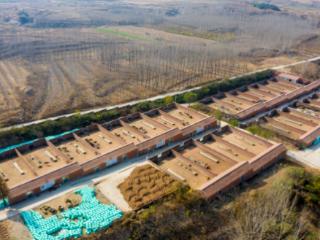 农发行山东省分行：金融“活水”润泽黄岛鹿业