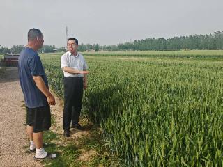 工商银行聊城分行：金融助力保丰收