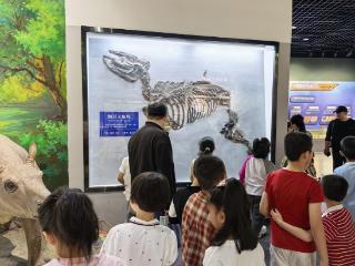 山师附小2023级9班走进山东地质博物馆，探索地球秘密