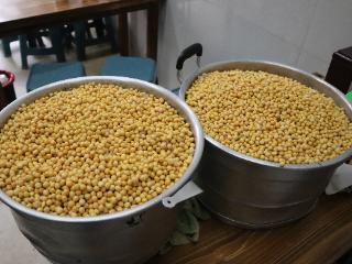 【贵州“粉丝”何其多】毕节豆汤粉，蹄花哨子每天上午十点半售罄