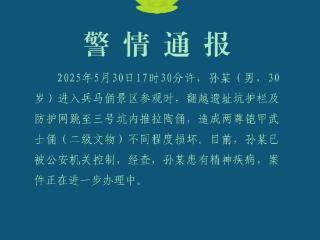 西安临潼公安：跳进兵马俑坑男子患有精神病 造成两尊铠甲武士俑损坏