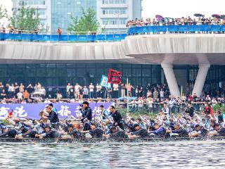 划桨不只为竞速 “浙”里的龙舟文化大有看头