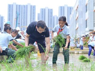 童心共育未来仓！洪山十一小“粮食科技周”精彩启航