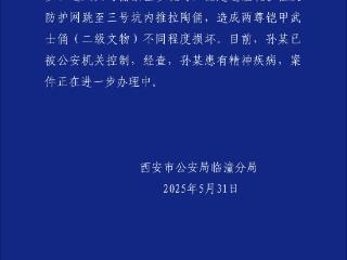 男子参观兵马俑时跳至坑内，损坏两尊铠甲武士俑！西安警方通报：患有精神疾病，已被公安机关控制