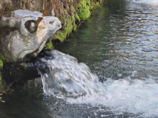 盛夏端午，济南黑虎泉哗哗流淌引人入胜