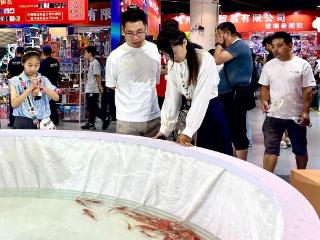 端午假期首日，高唐锦鲤在国际动漫节吸睛无数
