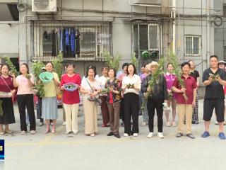 十堰各地多彩活动庆端午 共品民俗话传承