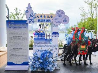 端午郑州街头掀起“青花风” 萌宝出圈活化千年文物