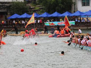 㵲阳河上抢鸭子