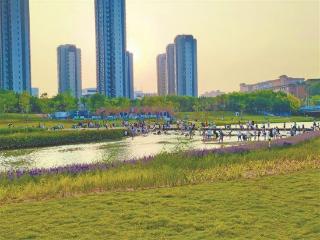 厦门水利工程喜获“闽水杯”两金一银