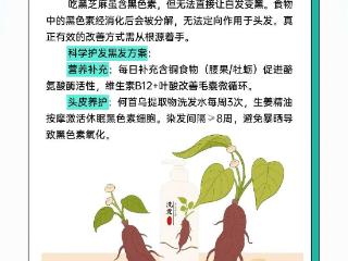 每天洗头会秃吗？这份“防脱指南”请收好！