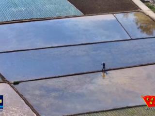 十堰驻村工作队：用心驻村解民忧 用情帮扶暖民心